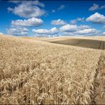 Sommer in Brandenburg