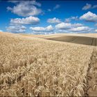 Sommer in Brandenburg