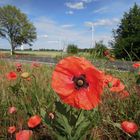 Sommer in Brandenburg