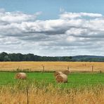 Sommer in Brandenburg