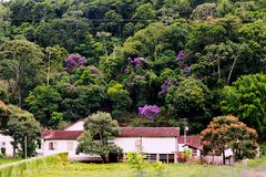  Sommer in Brasilien