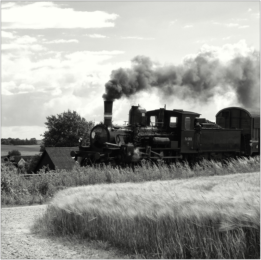 Sommer in Dänemark