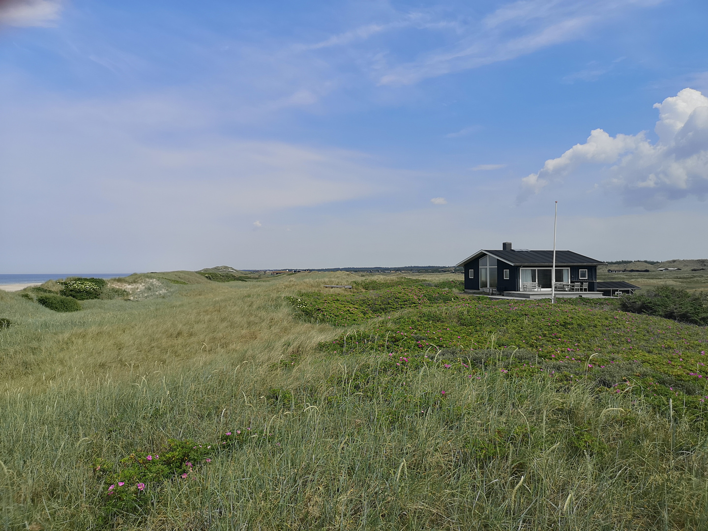 Sommer in Dänemark