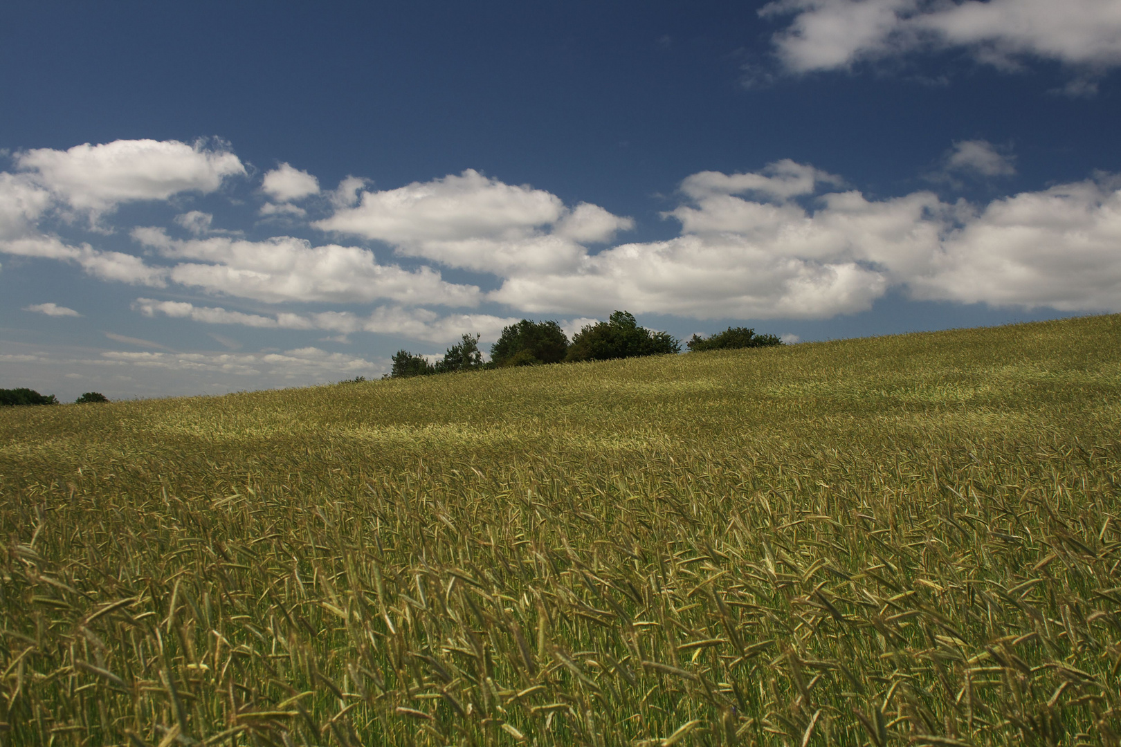 Sommer in Dänemark