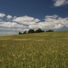 Sommer in Dänemark