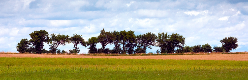 Sommer in Dänemark