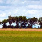 Sommer in Dänemark