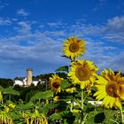 Sommer in Dehrn an der Lahn 