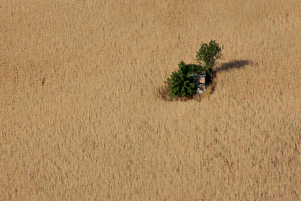 Sommer in den Abruzzen 1