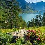 Sommer in den Alpen