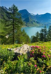 Sommer in den Alpen