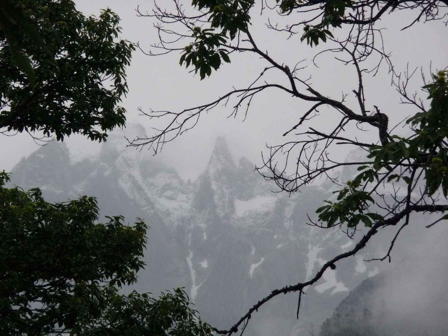 Sommer in den Alpen...