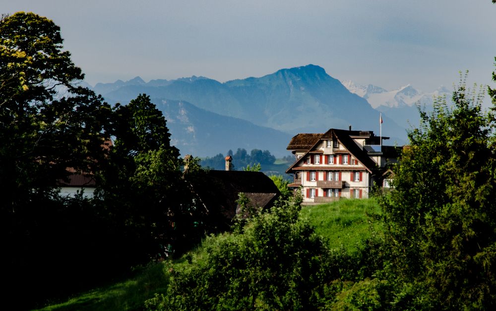 Sommer in den Alpen I