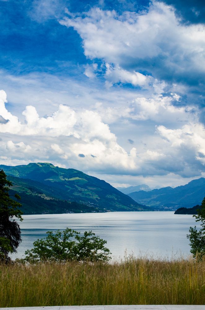 Sommer in den Alpen II