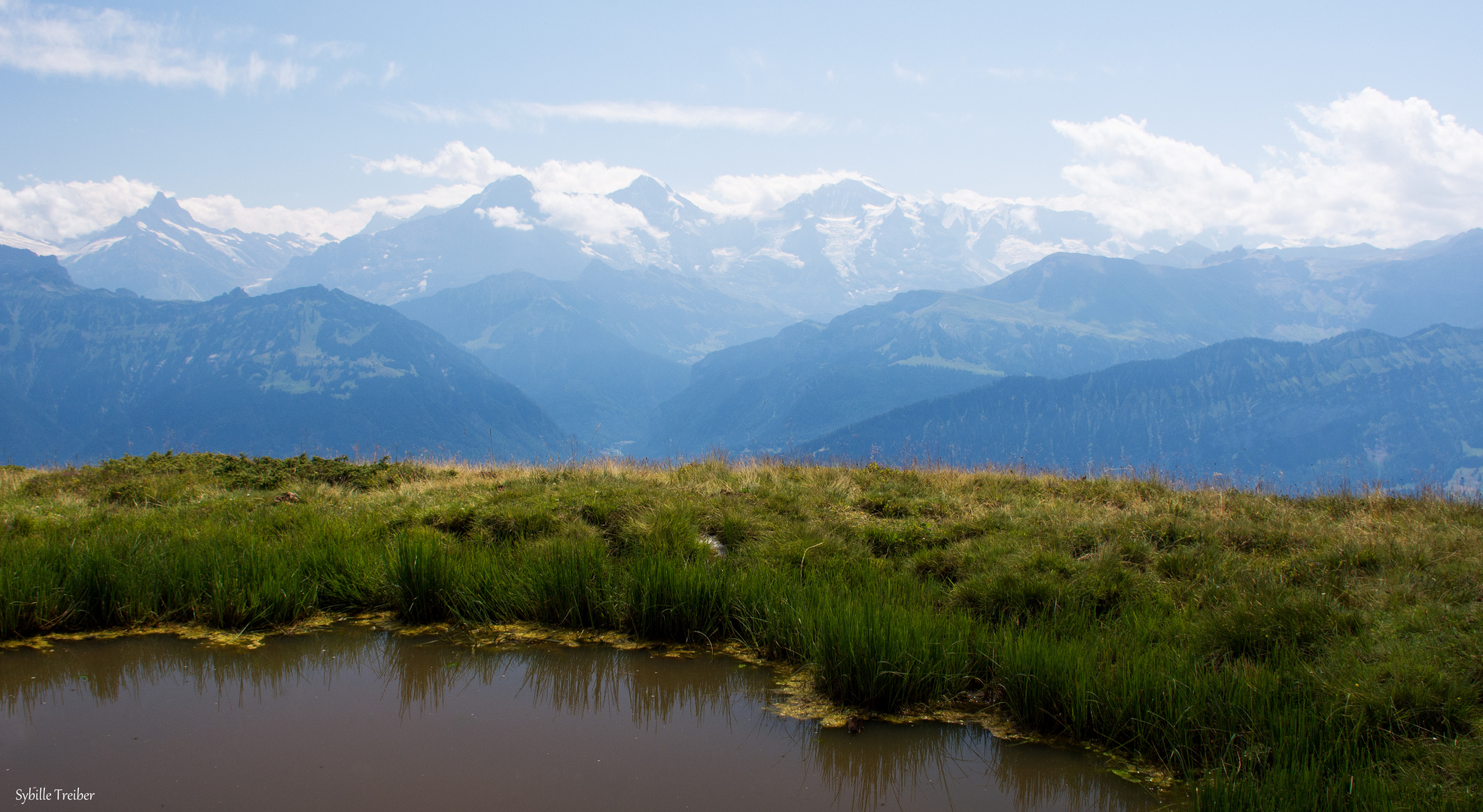 Sommer in den Bergen (1)