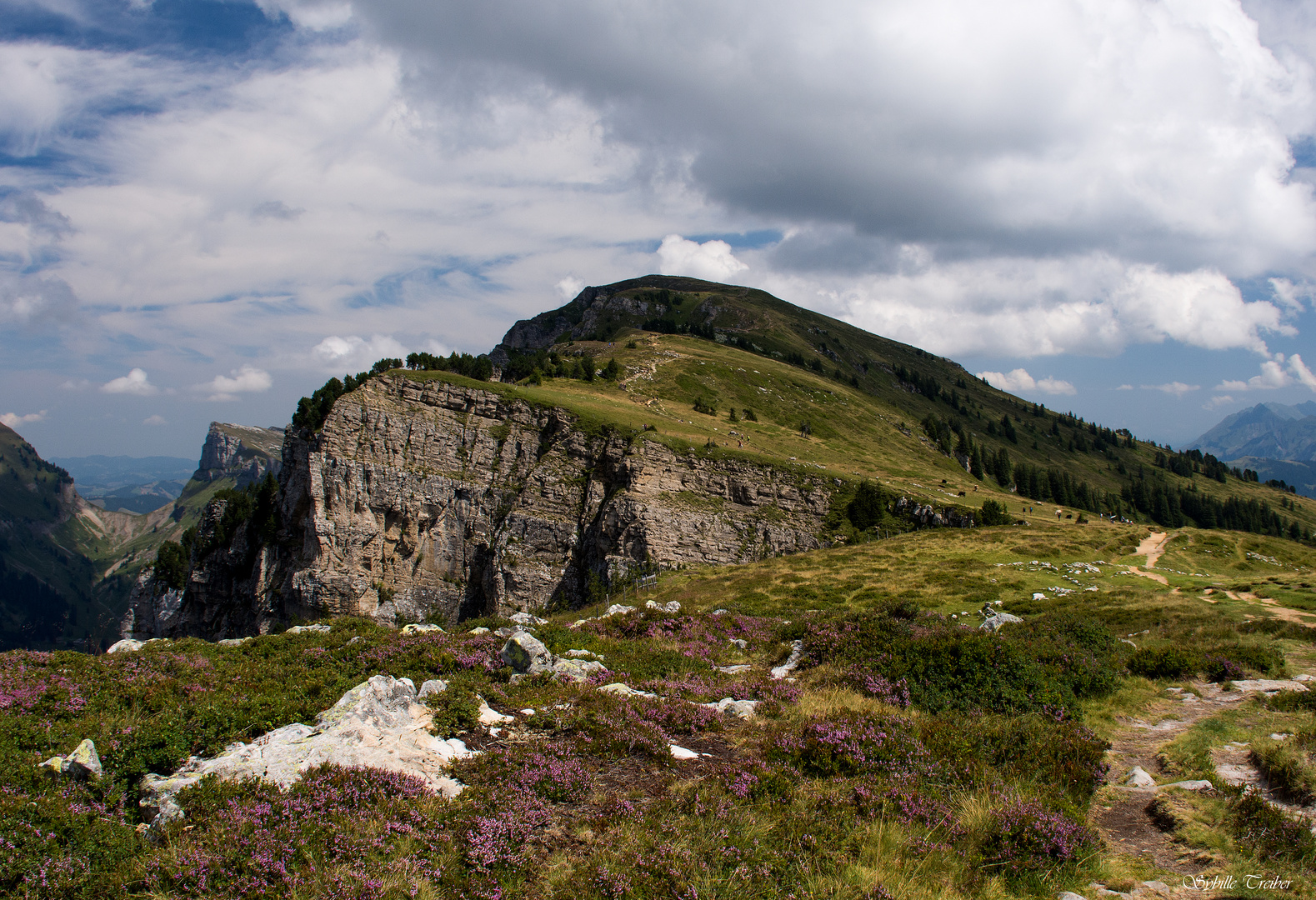 Sommer in den Bergen (2)