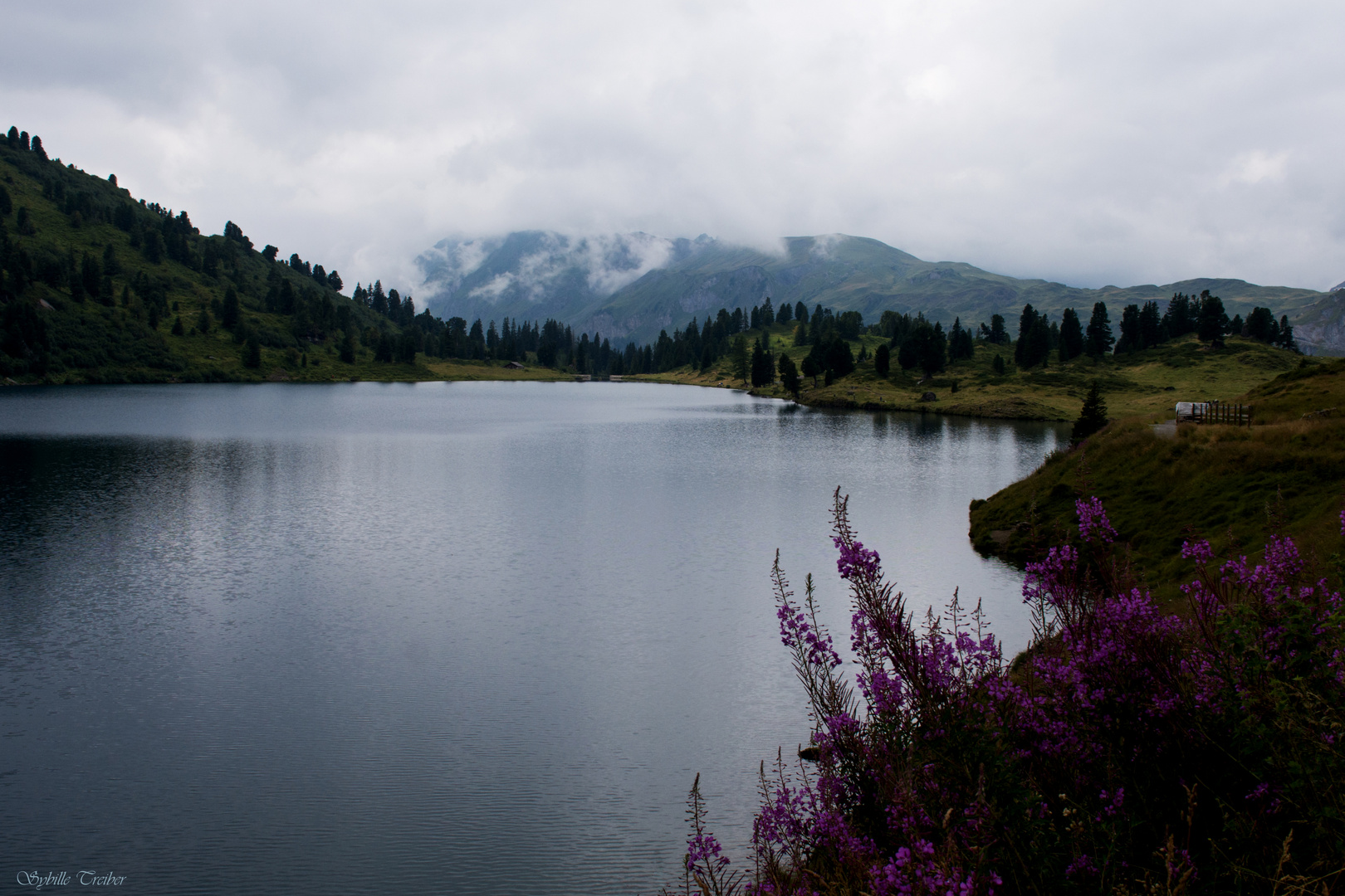 Sommer in den Bergen (3)