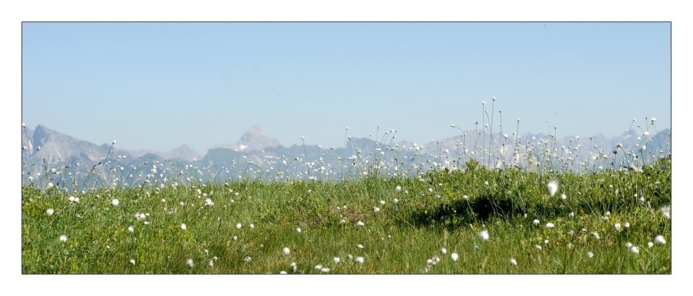 Sommer in den Bergen