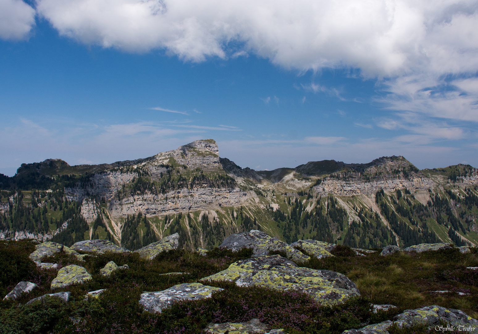 Sommer in den Bergen (4) 