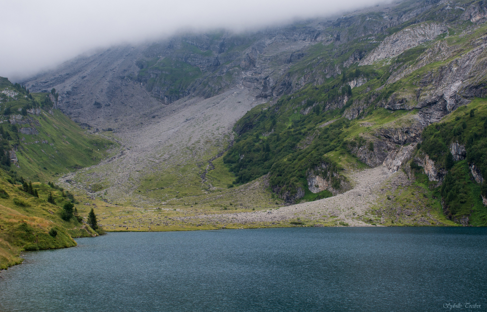 Sommer in den Bergen (5)