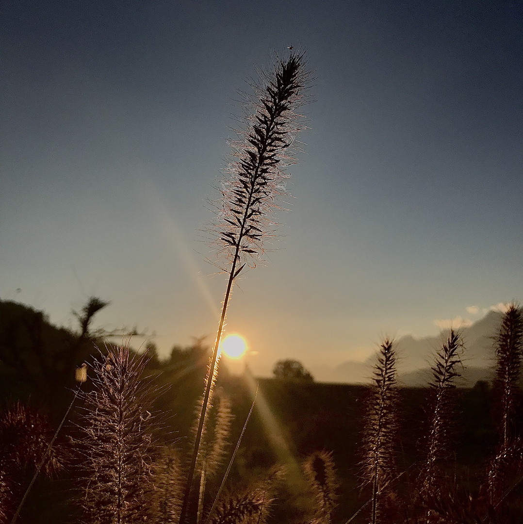 Sommer in den Bergen