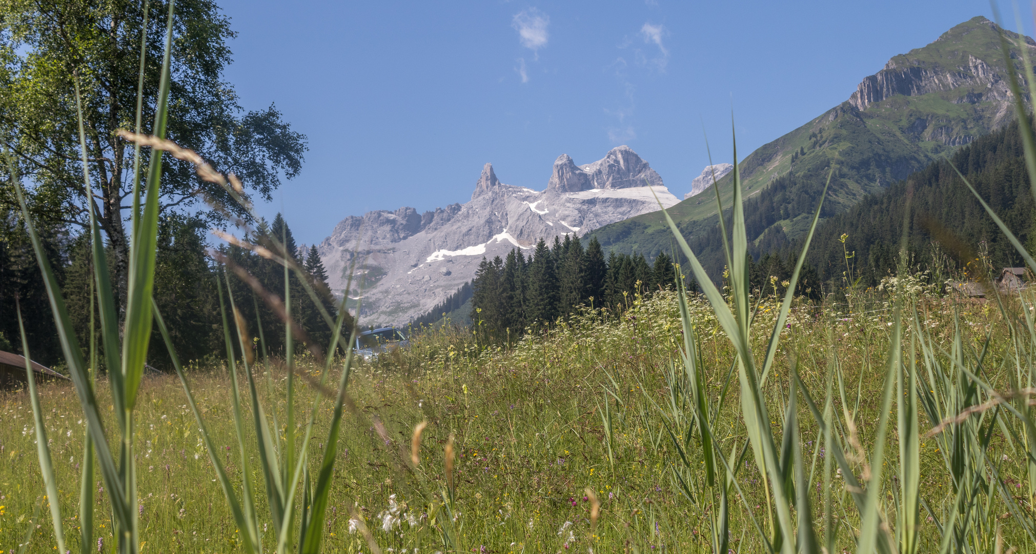 Sommer in den Bergen