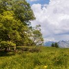 Sommer in den Bergen