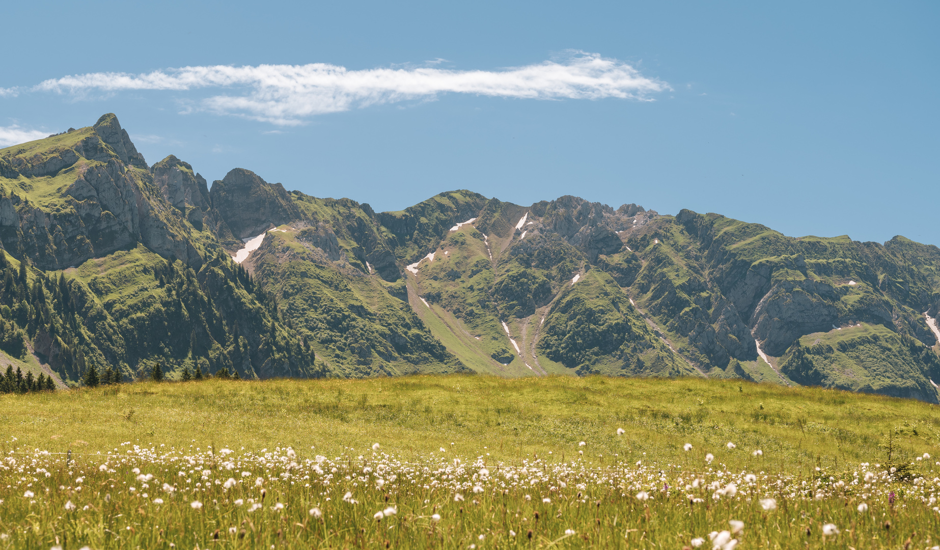 Sommer in den Bergen