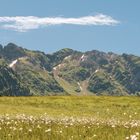 Sommer in den Bergen