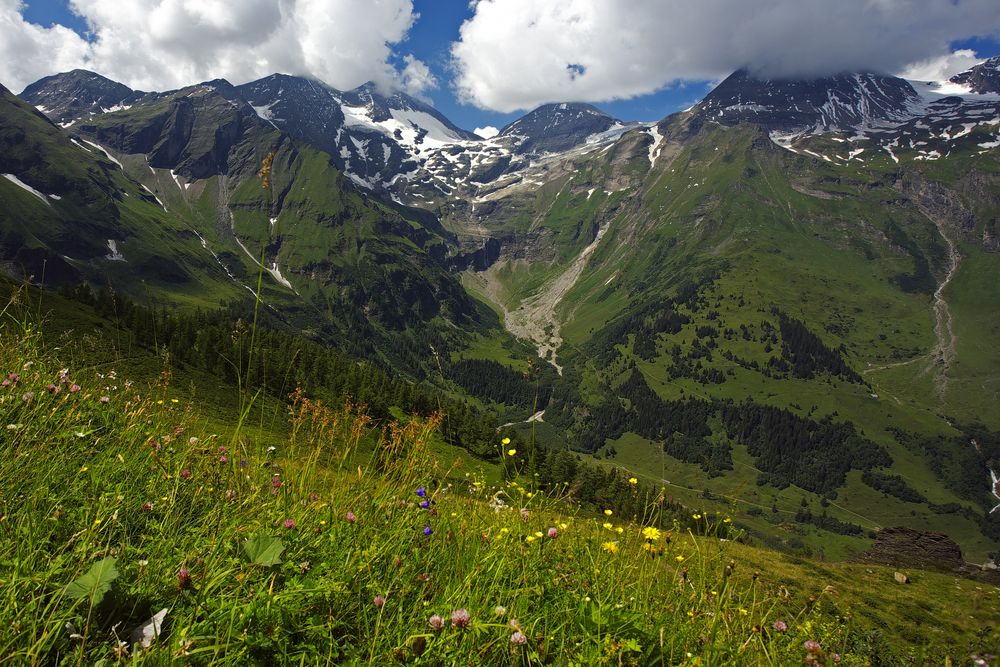 Sommer in den Bergen