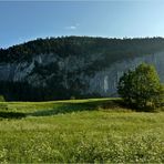 Sommer in den Bergen **