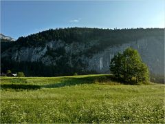 Sommer in den Bergen **