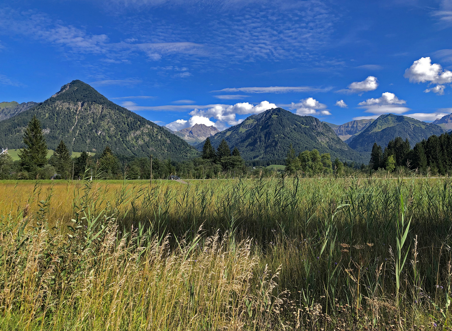 Sommer in den Bergen