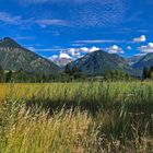 Sommer in den Bergen