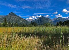 Sommer in den Bergen