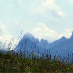 Sommer in den Bergen