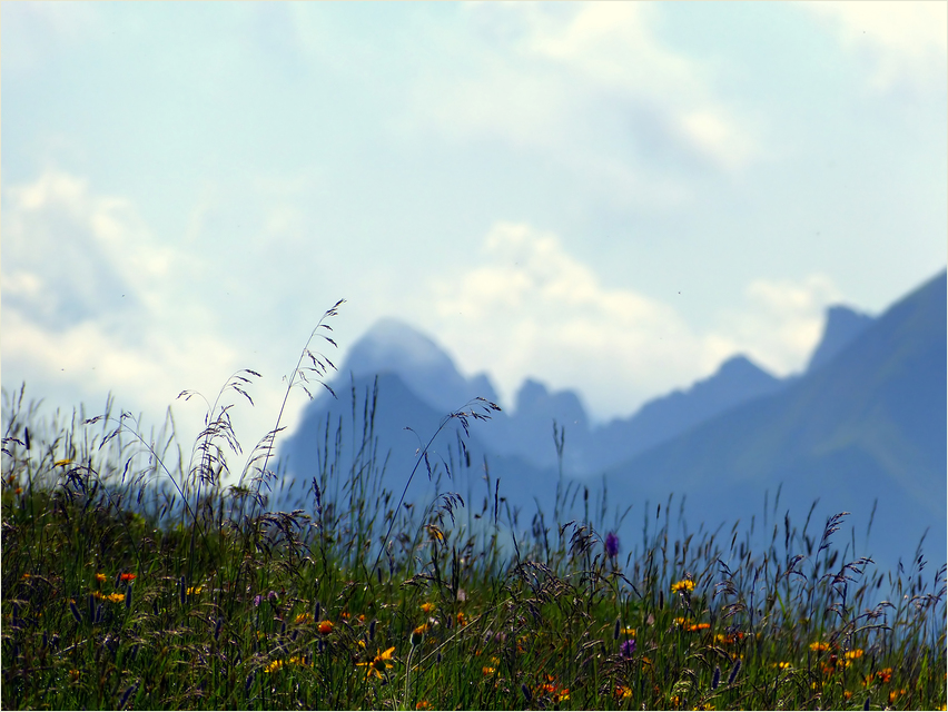 Sommer in den Bergen