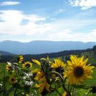 Sommer in den Bergen Südtirols