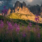 Sommer in den Dolomiten