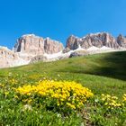 Sommer in den Dolomiten