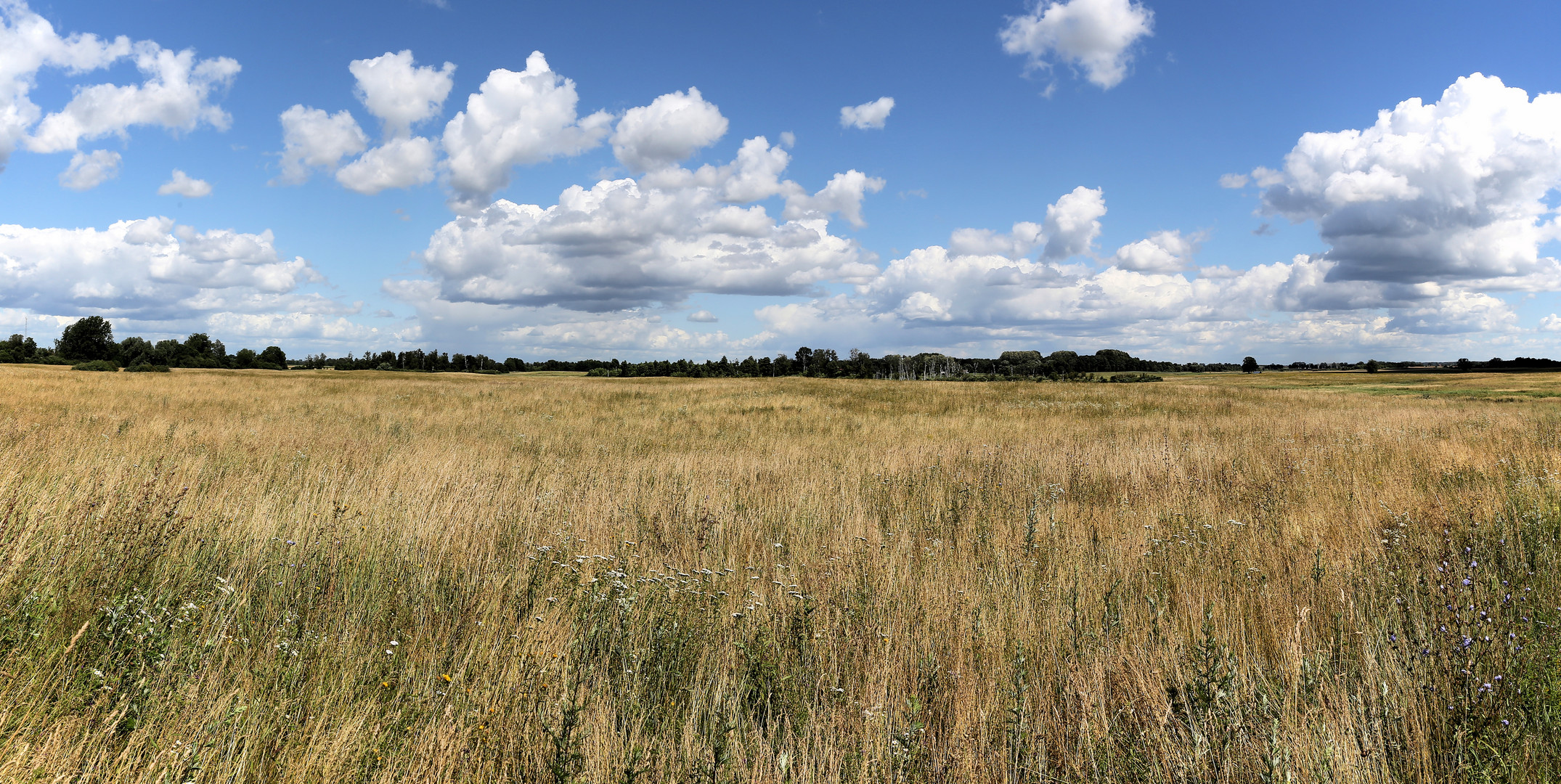 Sommer in den Masuren