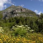 Sommer in den Pyrenäen