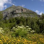 Sommer in den Pyrenäen