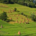 Sommer in den Waldkarpaten - 1