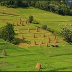 Sommer in den Waldkarpaten - 1