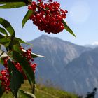 Sommer in den Walliser Alpen