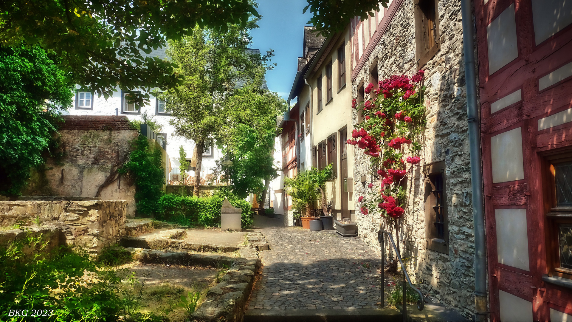 Sommer in der Altstadt Limburg 