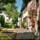 Sommer in der Altstadt Limburg 