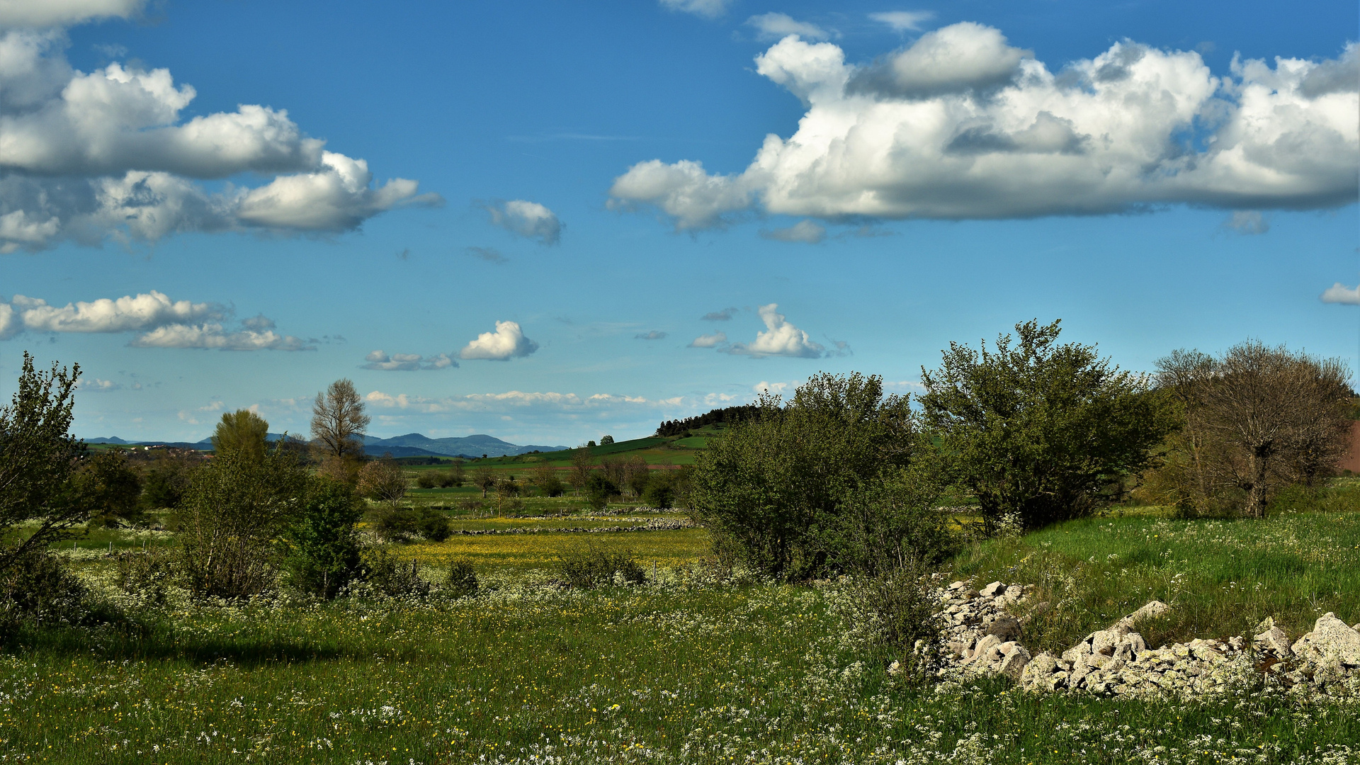 Sommer in der Auvergne 2019