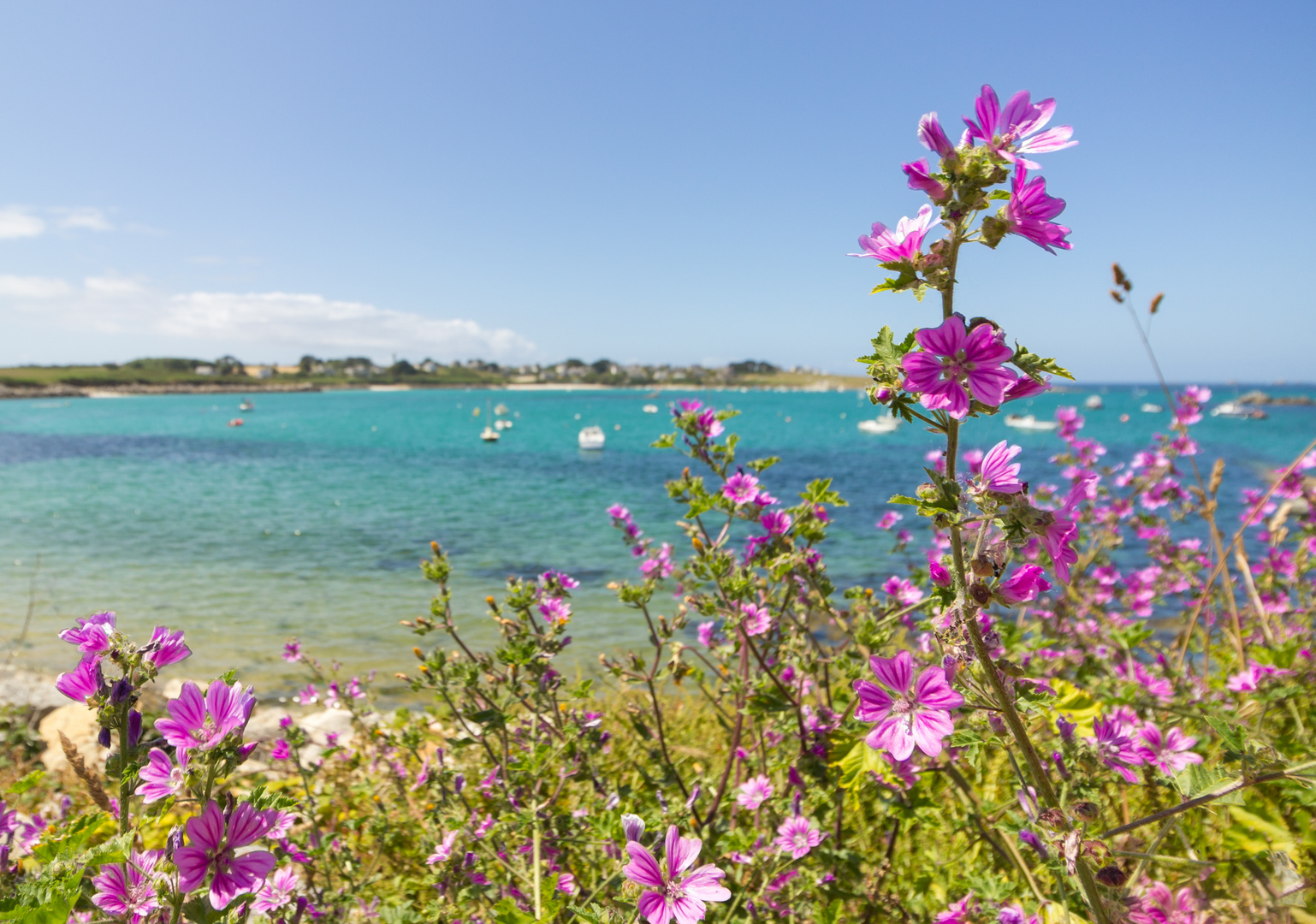 Sommer in der Bretagne